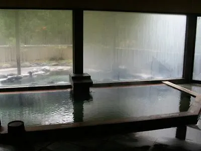 Hakone Ginyu Hotel 4*,